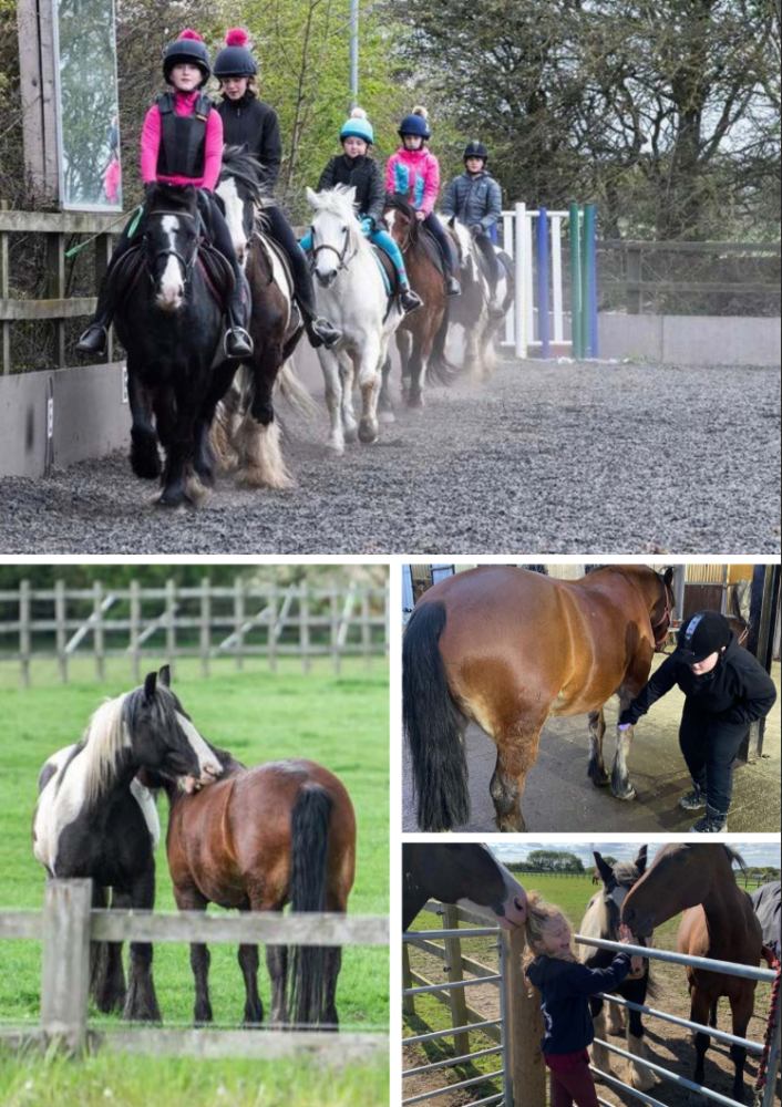Equine course